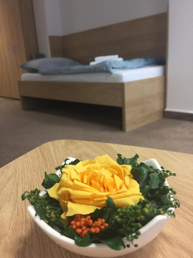 Považská Bystrica Hotel Bothe מראה חיצוני תמונה